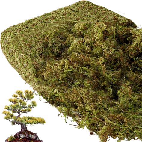 bag of fake moss|artificial moss for indoor plants.